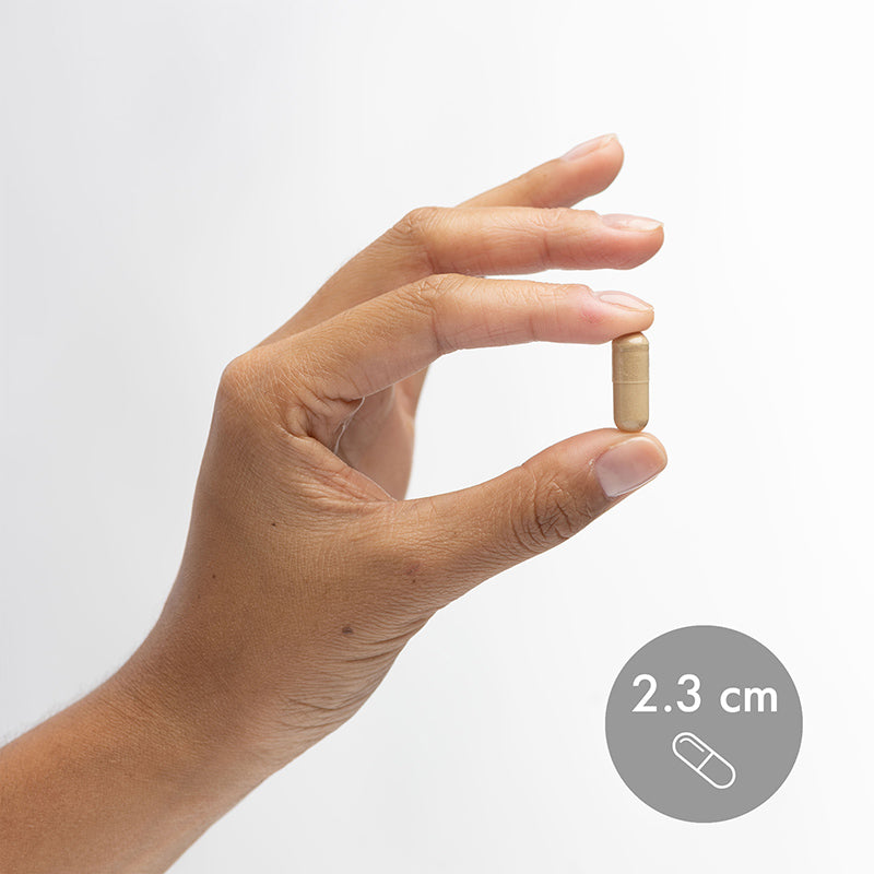 Dr. Mercola's Organic Fermented Mushroom Complex - supports immune function, cellular growth, detoxification, weight management, urinary, and digestive health. Available at BiosenseClinic.com.
