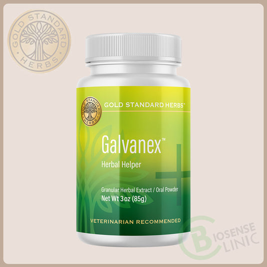 Buy Galvanex for Pets – Qi Support & Vitality | BiosenseClinic