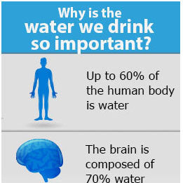 The Importance of Drinking Water