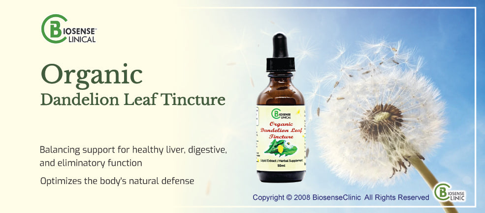 Organic Dandelion Leaf Tincture